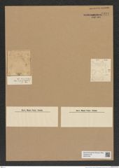 Solium sp. (de-Toni-Nr.: Genus 120) Zeichnungen Sammlung Grunow Nr. 6894 (NHMW-BOT-W0375760)